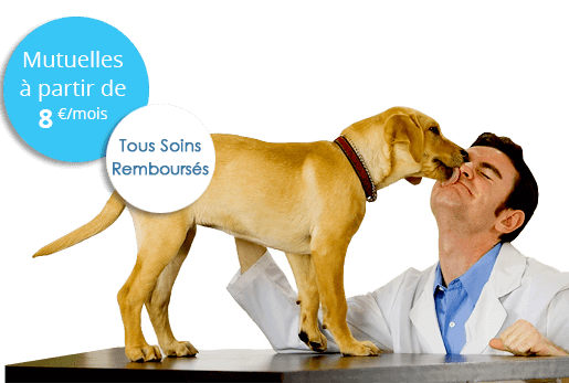 quelle est la meilleure mutuelle quelle est la meilleure mutuelle
