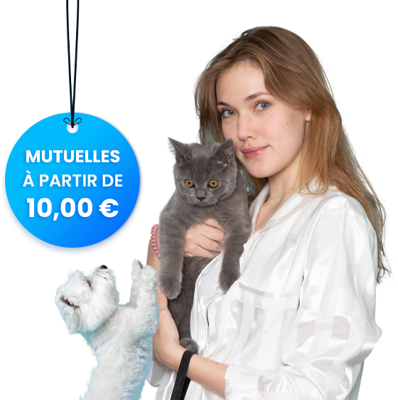 Mutuelle pour animaux pas chère Mutuelle pour animaux – comparateur de prix