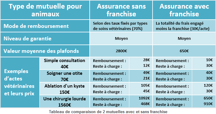 Mutuelles Animaux Sans Franchise Ni Carence Aux Prix Pas Chers