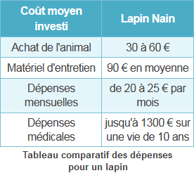 Comparatif des dépenses pour un lapin