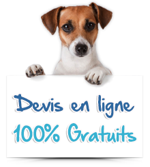 Assurance pour chiens