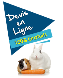 Assurance pour rongeurs Assurance pour rongeurs