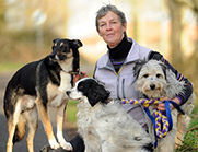 Mutuelle animaux sans franchise ni carence Mutuelle animaux sans franchise ni carence