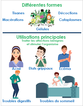 Remboursement phytothérapie – quel cas