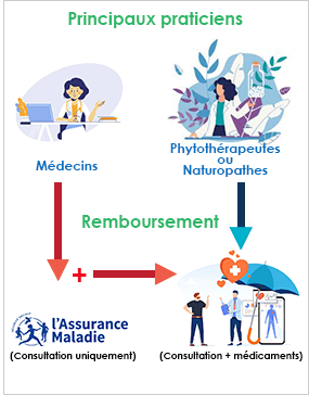 Remboursement phytothérapie – par qui