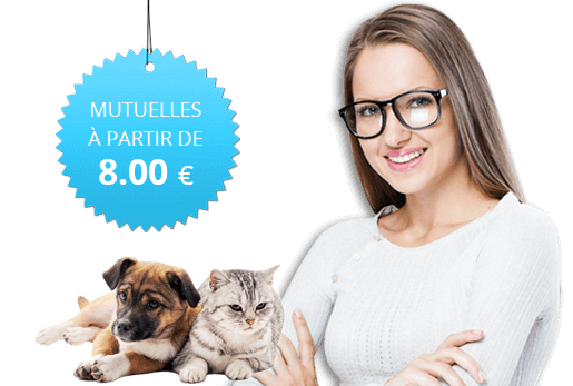 Assurance pour animaux – comparateur en ligne