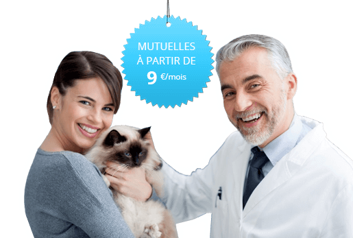 Assurance chat pas chère