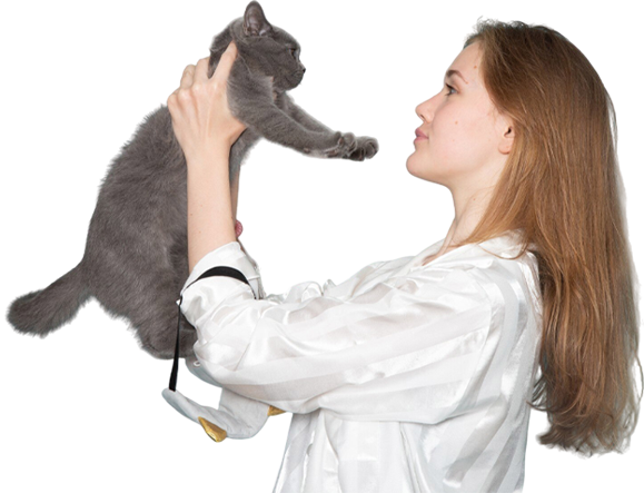 Assurance chat pas chère