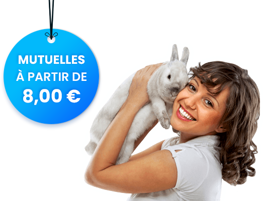 Assurances Rongeurs