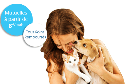 mutuelle animaux sans carence - assurance animaux sans carence
