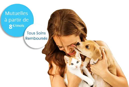Assurance animaux sans carence, ni franchise