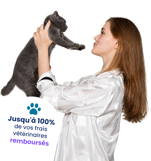 Assurance chat pas chère